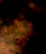 e0103408_15434100.gif