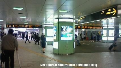 f0167314_22315322.jpg