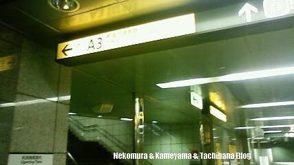 f0167314_22321230.jpg