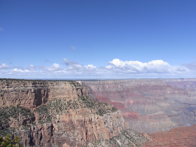 a0019616_07446.jpg
