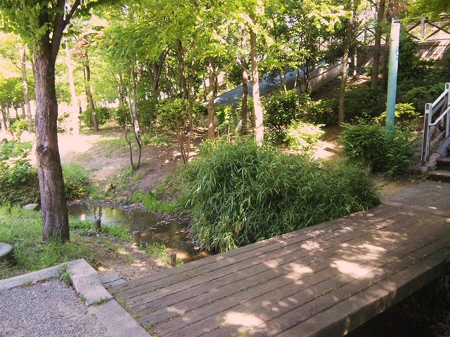 a0098418_10125245.jpg