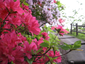 b0147224_22121268.jpg
