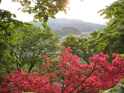 b0147224_22174980.jpg