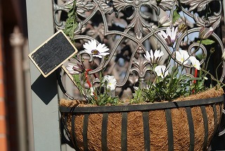f0170524_8193100.jpg