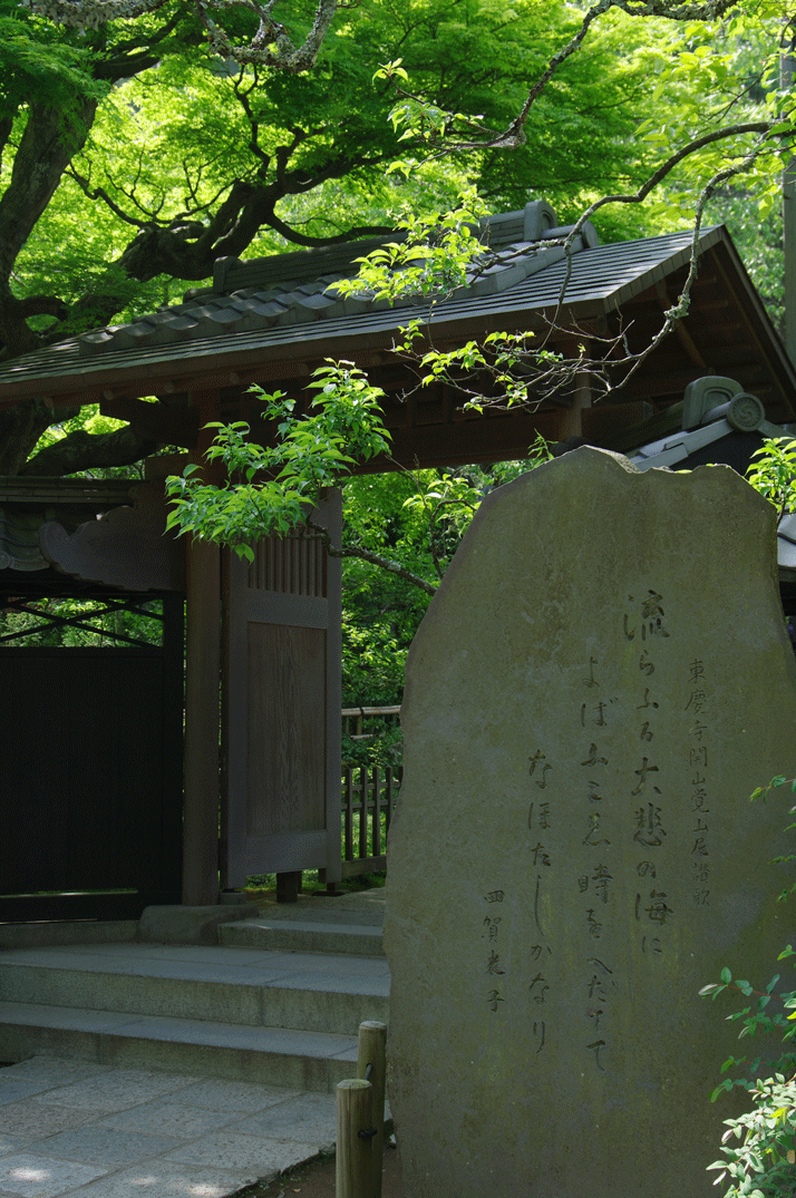 c0223825_1613387.gif