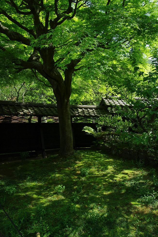 c0223825_1618462.gif