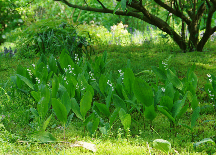 c0223825_1625748.gif