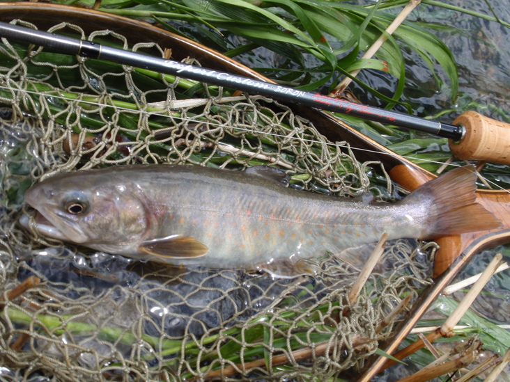 ・FISHING TRIP　5/27_a0165135_1934888.jpg