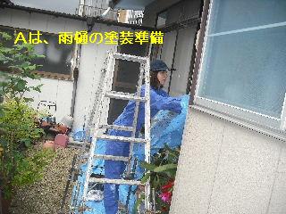 雨漏り点検口と女仕事人Aさんの塗装作業_f0031037_20293193.jpg