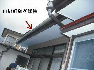 雨漏り点検口と女仕事人Aさんの塗装作業_f0031037_20294073.jpg
