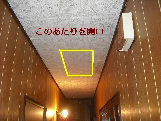 雨漏り点検口と女仕事人Aさんの塗装作業_f0031037_20321835.jpg