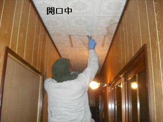 雨漏り点検口と女仕事人Aさんの塗装作業_f0031037_20323922.jpg