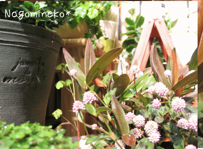 a0166338_203181.gif