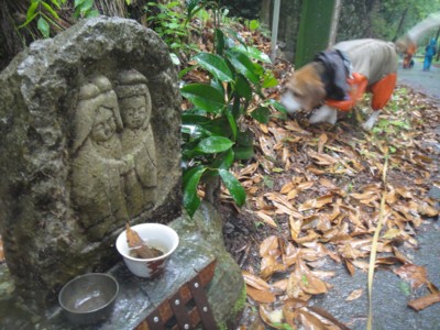 c0119142_639145.jpg