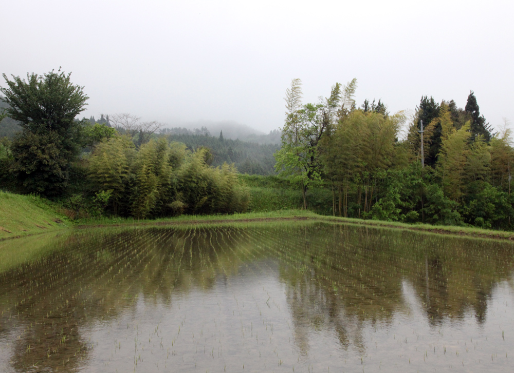 奈良市（旧都祁村）　吐山（はやま）　田植え_c0108146_233176.jpg