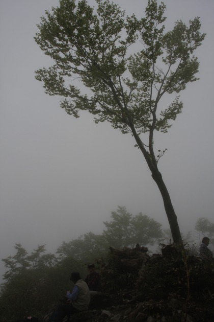 c0155950_015461.jpg