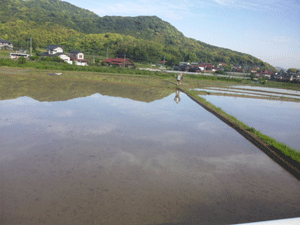 f0229250_18435576.gif