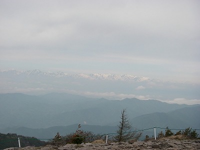 晴れましたよ　～湯の丸山～_b0175351_2058339.jpg