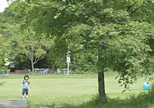 f0202957_95557.jpg