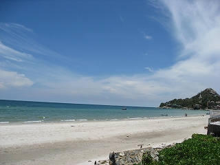 成長過程は逆説を内包する_d0065558_934088.jpg