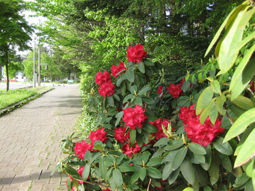 f0236260_153546.jpg