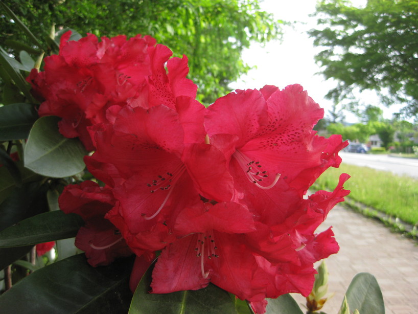 f0236260_155156.jpg