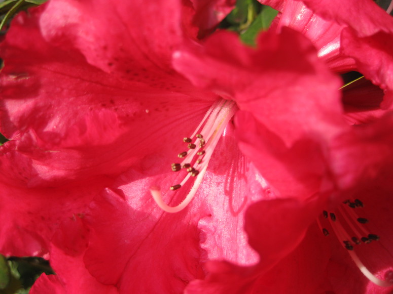 f0236260_156261.jpg