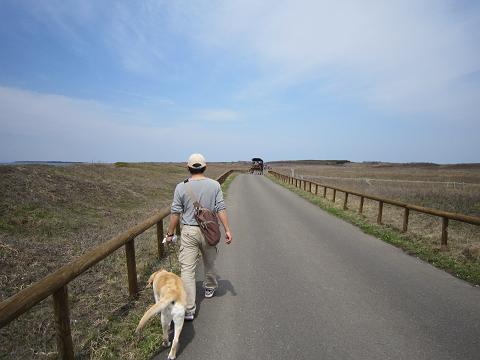 ２０１０のＧＷ　北海道６_d0120665_20415694.jpg