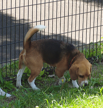 d0152869_21575357.gif