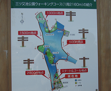 d0152869_22221290.gif