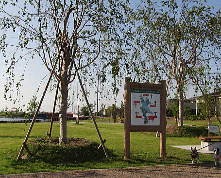 d0152869_22231466.gif