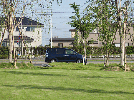 d0152869_22251658.gif