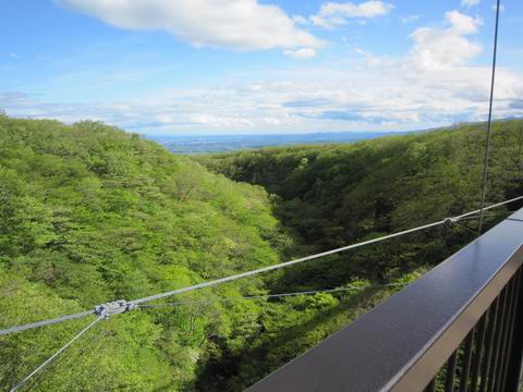 c0218879_20155788.jpg