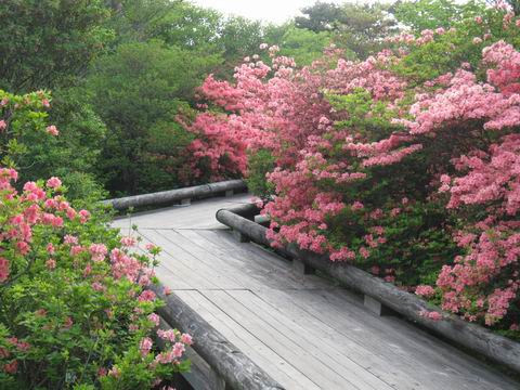 c0218879_2158391.jpg