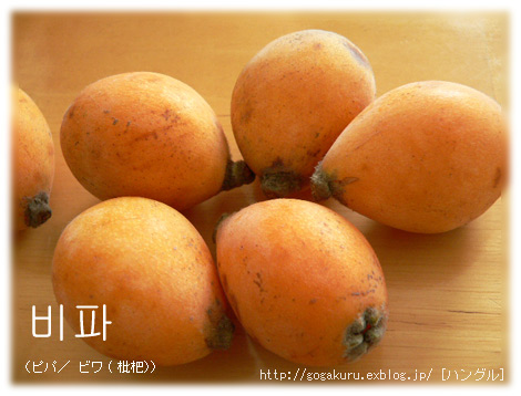 ハングル 桜島産の びわ 比較 ポダ ほかの国のコトバ ８言語つまみぐい