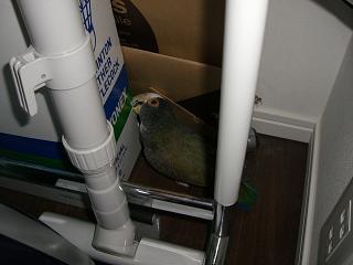 f0234590_1941137.jpg