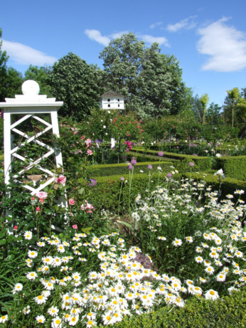 d0099791_1515291.jpg