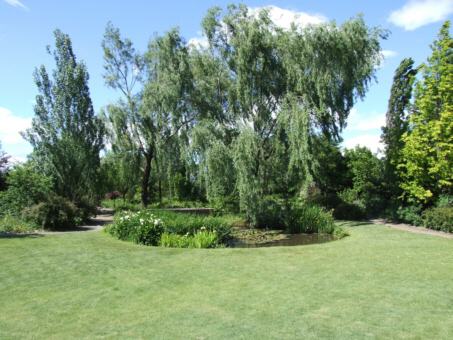 d0099791_1538417.jpg