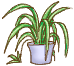 b0120396_16312892.gif