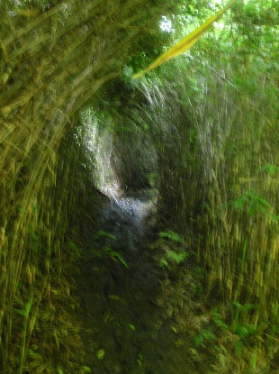 e0077899_58649.jpg
