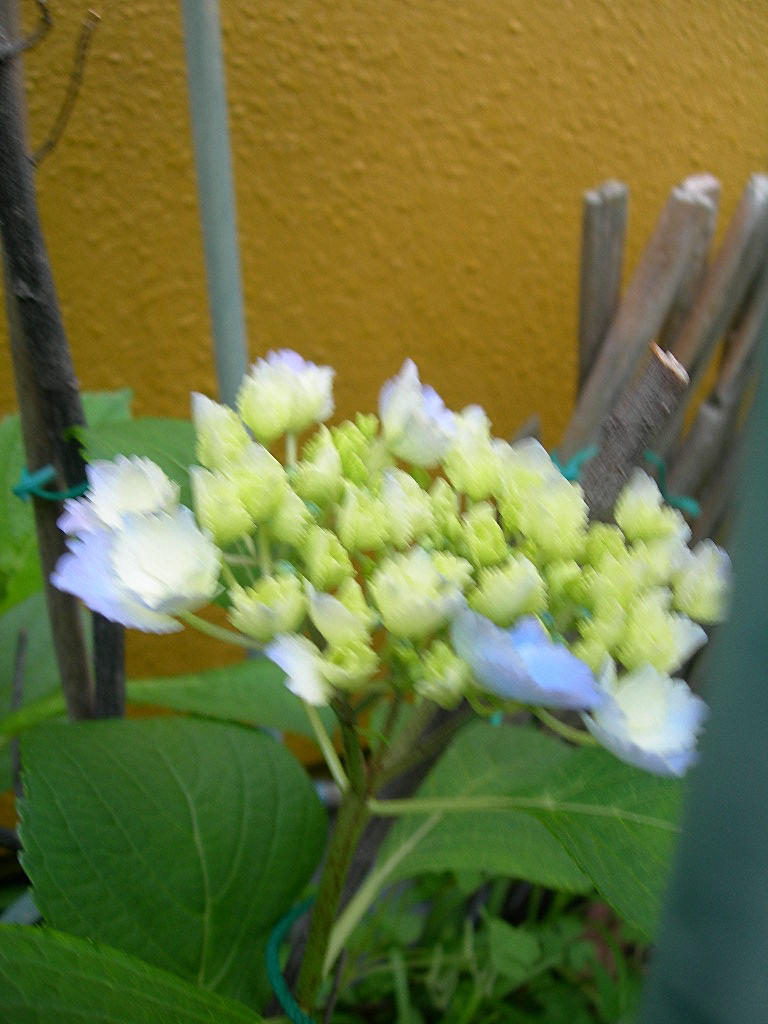 c0220700_9482364.jpg