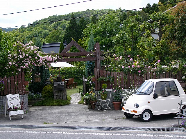 a0123003_209269.jpg