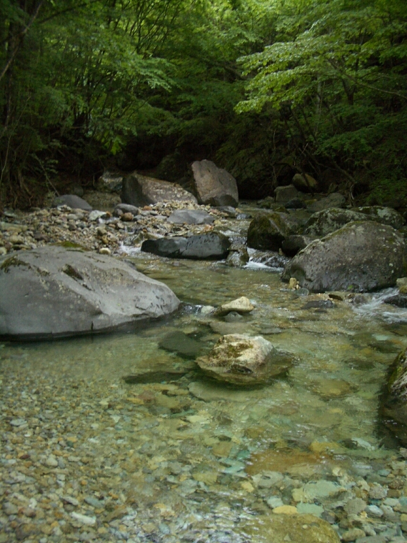 b0172805_017157.jpg