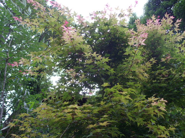 d0139806_23381926.jpg
