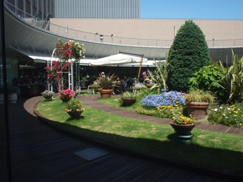 d0145907_2018975.jpg