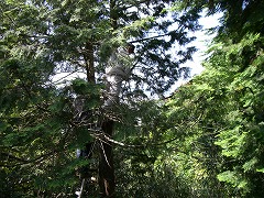 e0093407_23525420.jpg