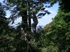 e0093407_23532227.jpg