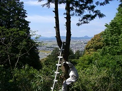 e0093407_23533575.jpg