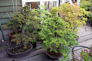f0160407_4574643.jpg