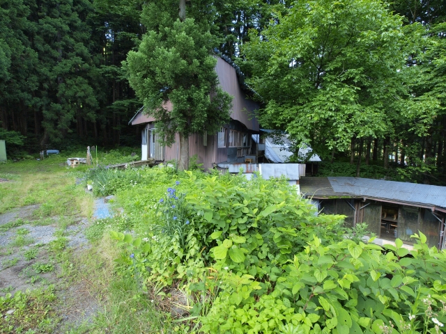 c0156908_22125220.jpg